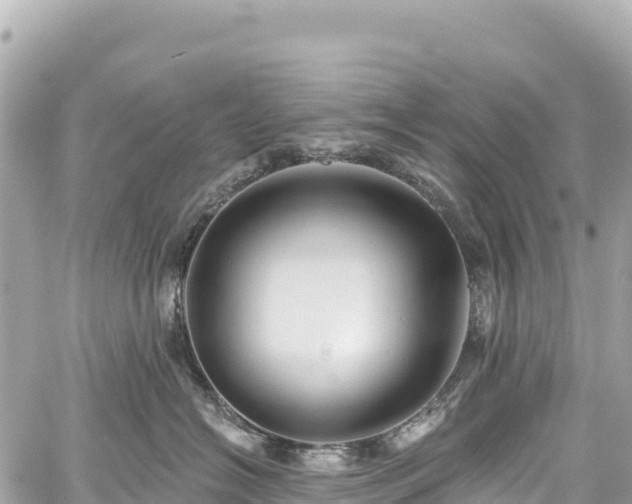 X0000059040574200510101013