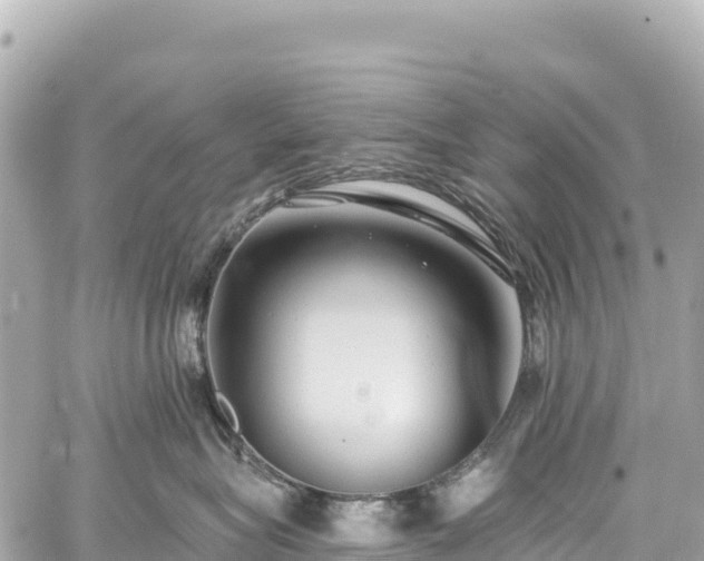 X0000059040575200510101013