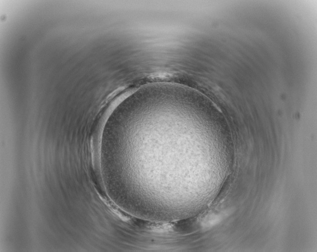 X0000059040576200510101013