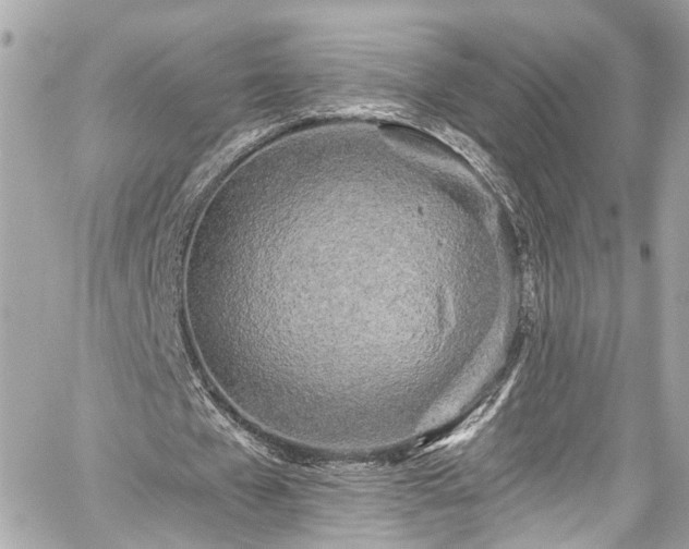 X0000059040577200510101012