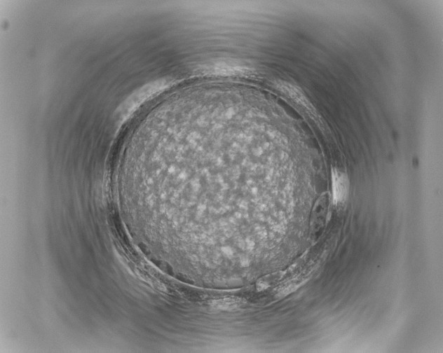 X0000059040579200510101012