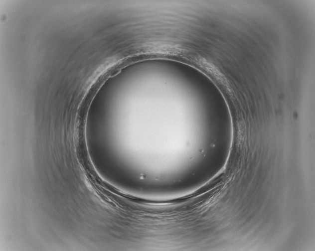 X0000059040580200510101012