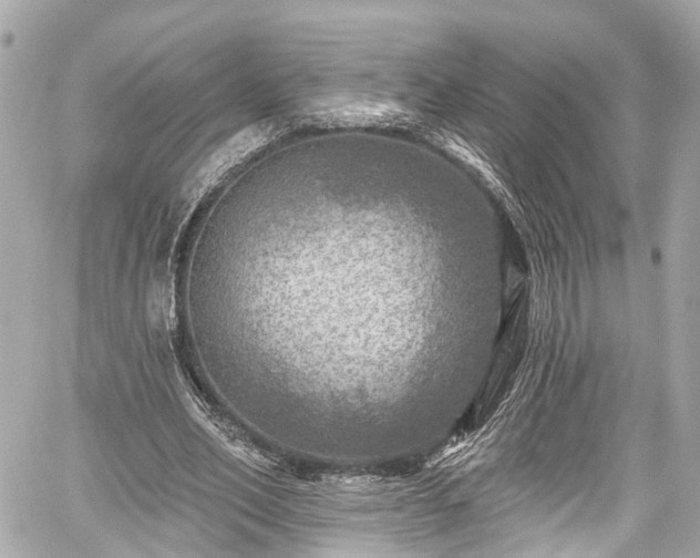 X0000059040582200510101012