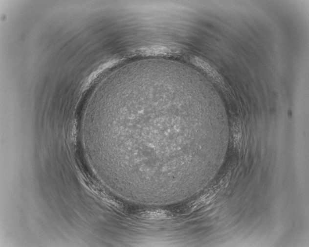 X0000059040583200510101012