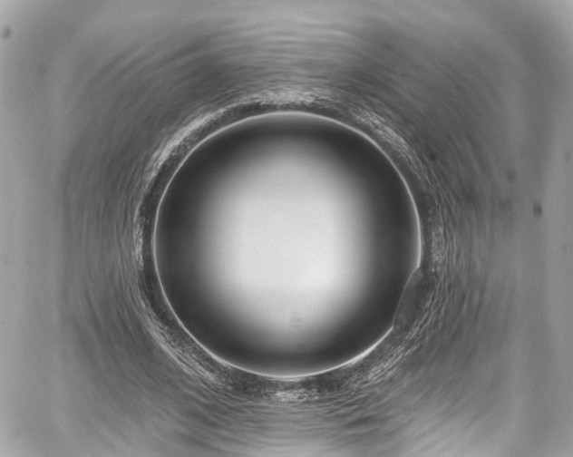 X0000059040584200510101012