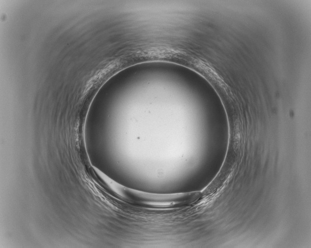 X0000059040585200510101012