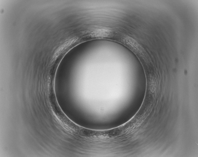 X0000059040586200510101012