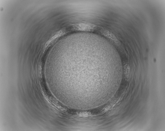 X0000059040587200510101012