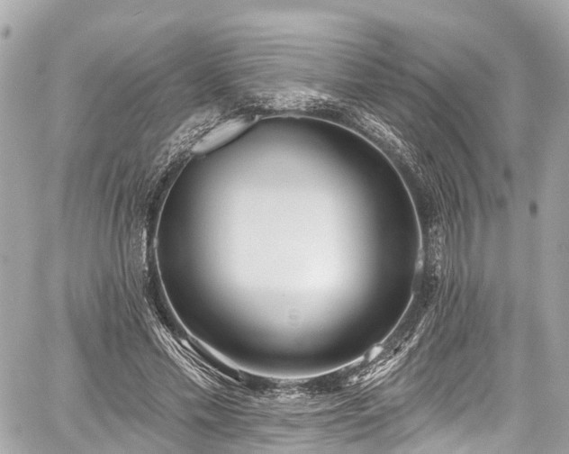 X0000059040589200510101012