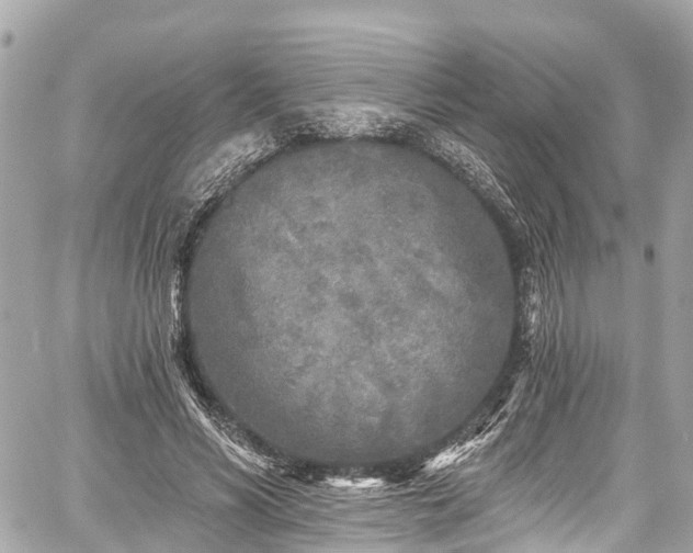 X0000059040590200510101012