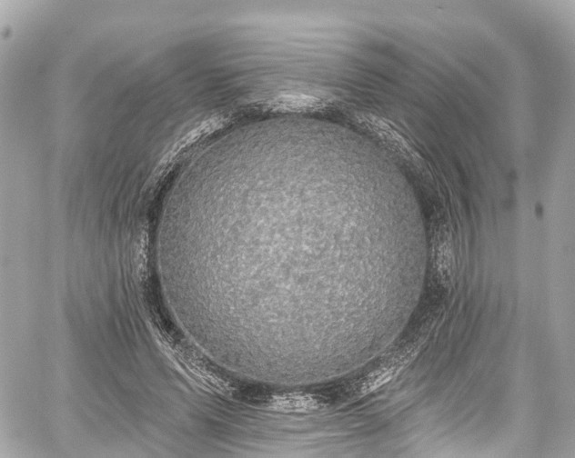 X0000059040591200510101012