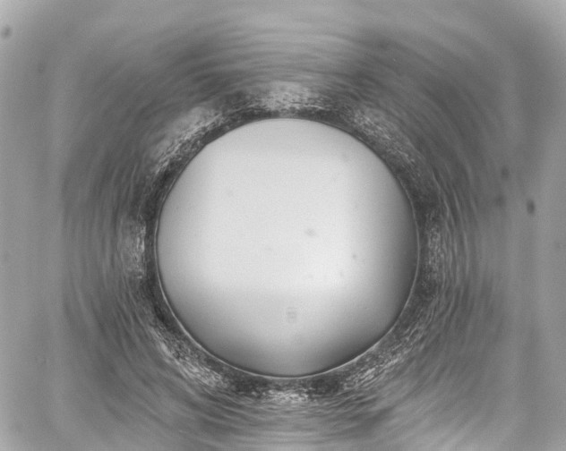 X0000059040592200510101012