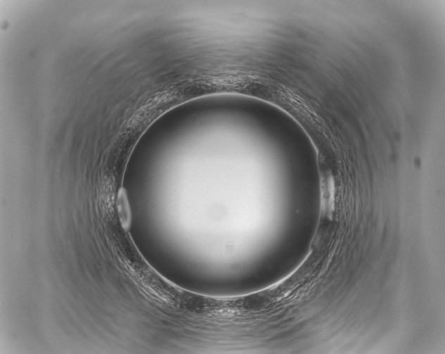 X0000059040593200510101012