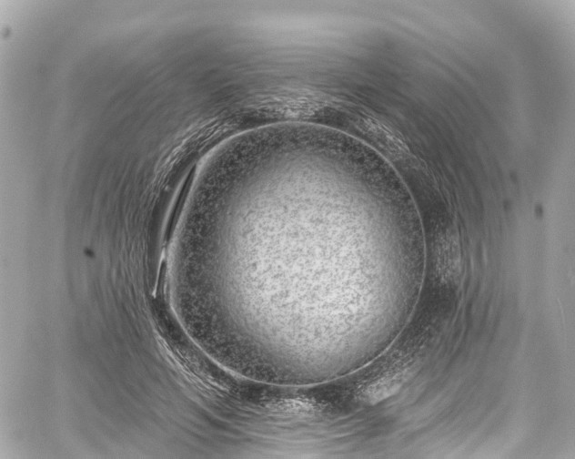 X0000059040594200510101012