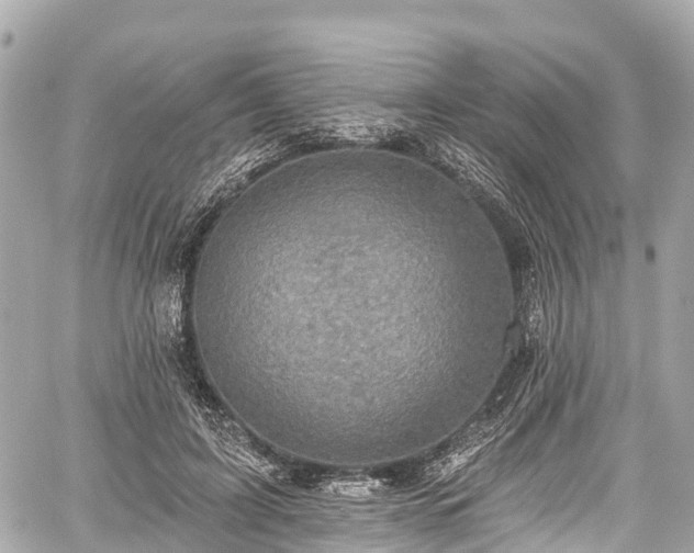 X0000059040595200510101012