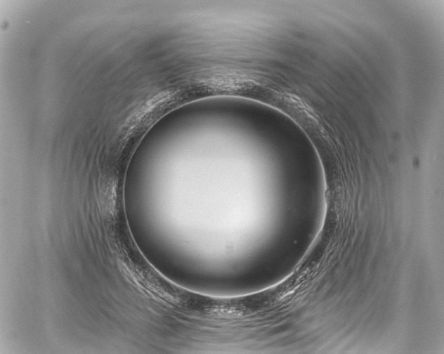 X0000059040596200510101012