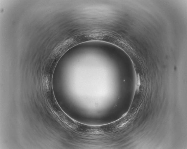 X0000059040597200510101012