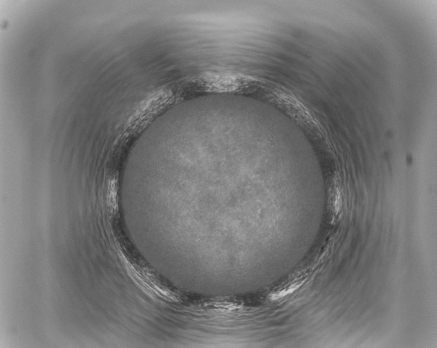 X0000059040598200510101012