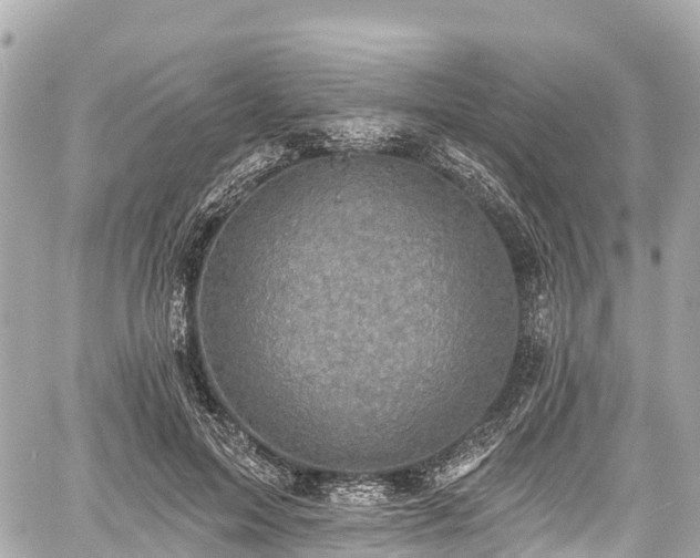 X0000059040599200510101012