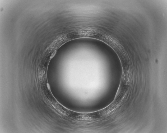 X0000059040601200510101012