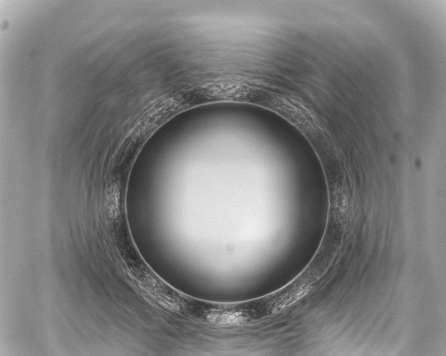 X0000059040602200510101012