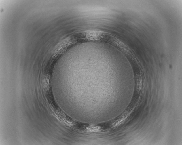 X0000059040603200510101012