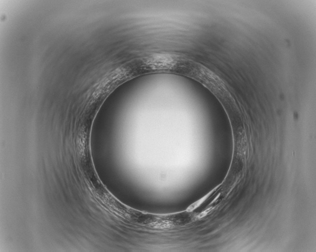 X0000059040604200510101012