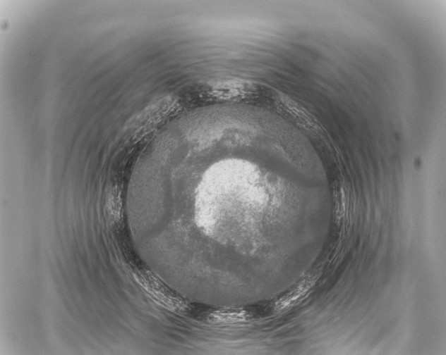 X0000059040606200510101012