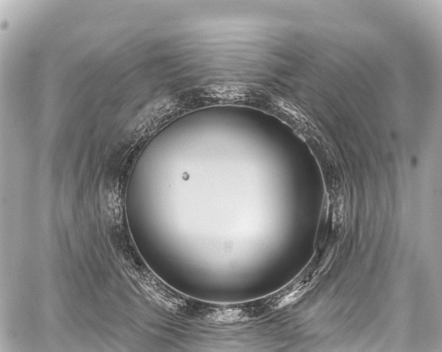 X0000059040609200510101012