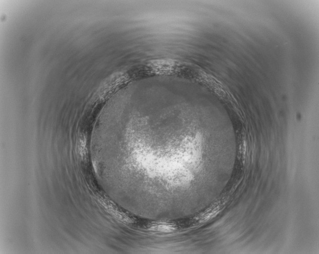 X0000059040610200510101012