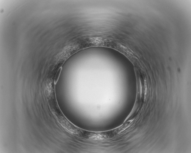 X0000059040611200510101012