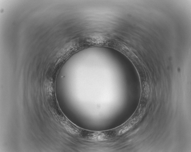 X0000059040612200510101012