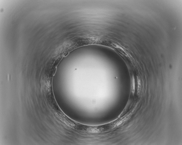 X0000059040613200510101011