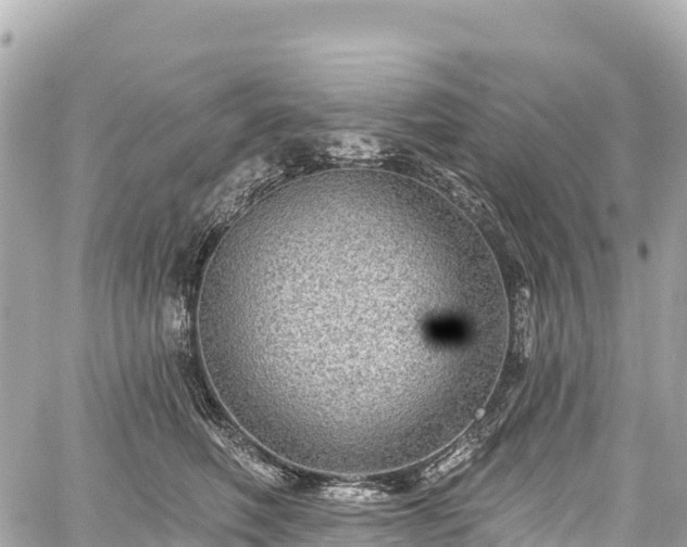 X0000059040614200510101011