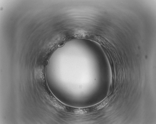 X0000059040616200510101011