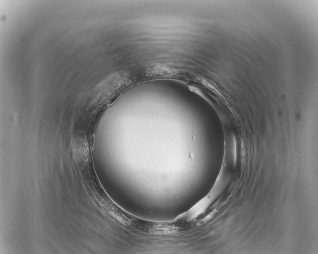 X0000059040617200510101011