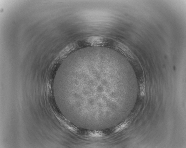 X0000059040618200510101011