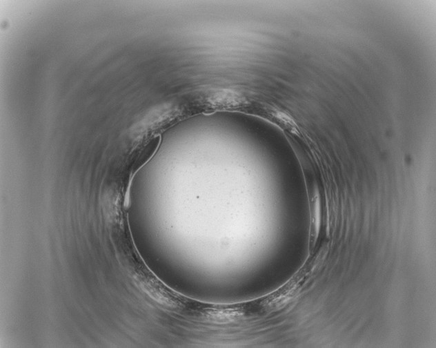 X0000059040619200510101011