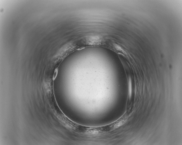 X0000059040620200510101011