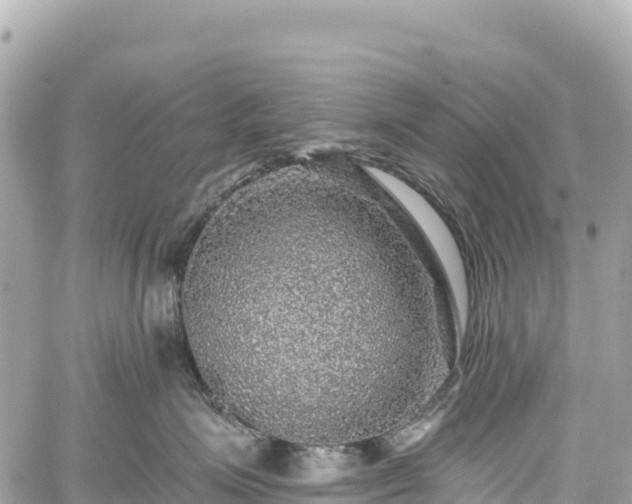 X0000059040623200510101011