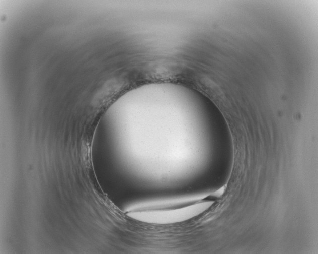 X0000059040624200510101011