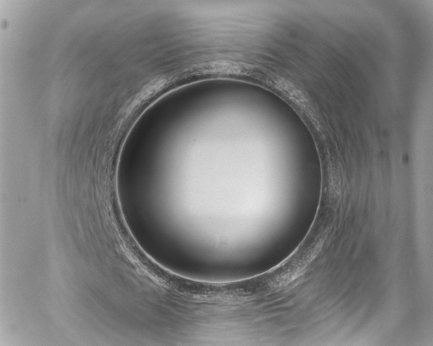 X0000059040625200510101011