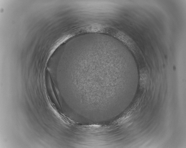 X0000059040626200510101011