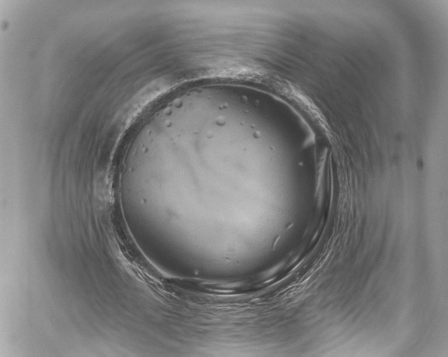 X0000059040628200510101011