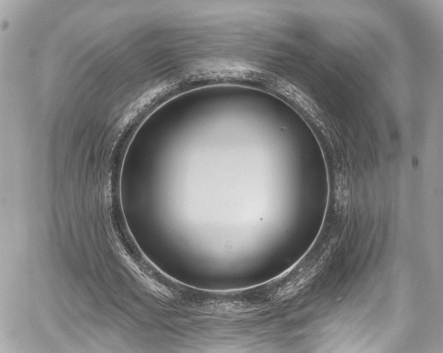 X0000059040629200510101011