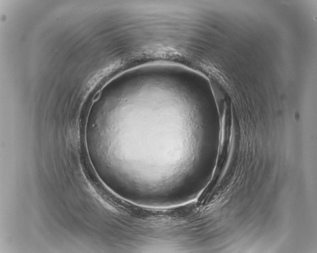 X0000059040630200510101011