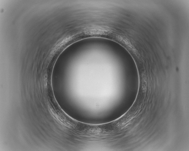 X0000059040631200510101011