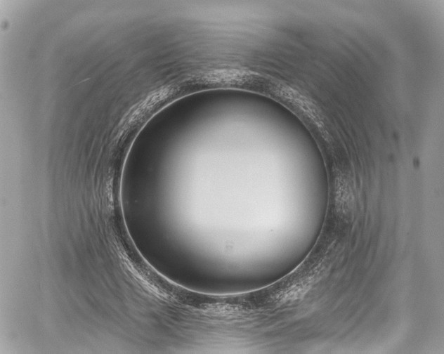 X0000059040633200510101011