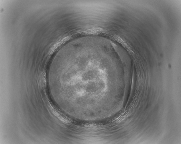 X0000059040634200510101011