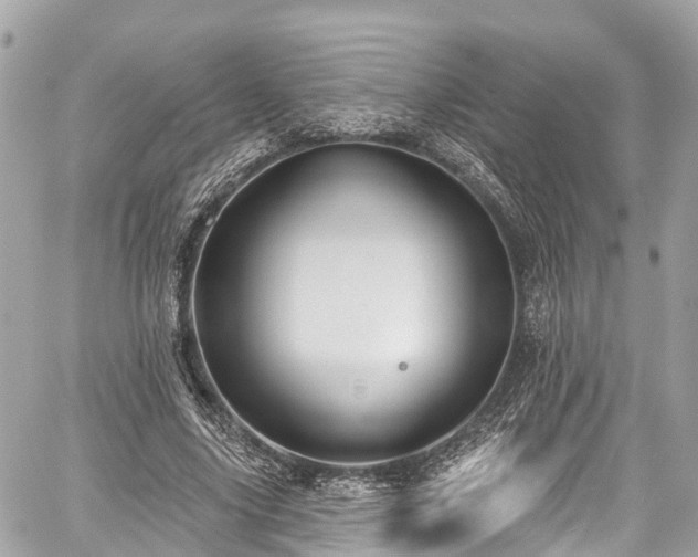 X0000059040635200510101011